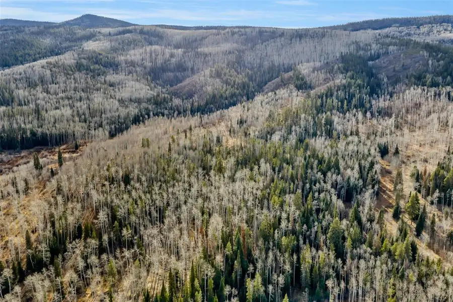 20331 King Bolt Way, Oak Creek, CO 80467 - Image #3