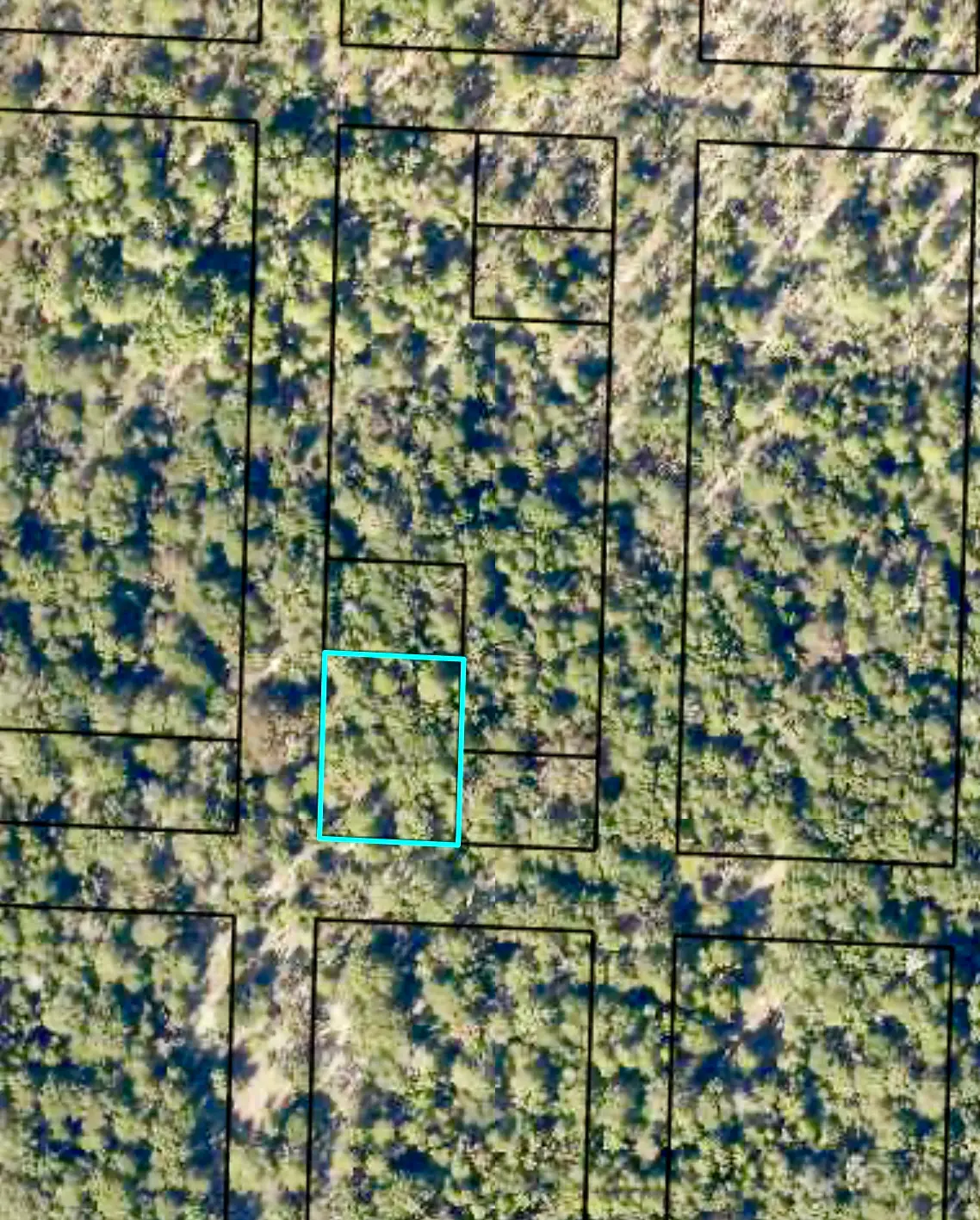 Christopher Ln, Crestview, FL 32539 - #1