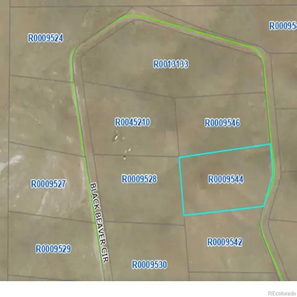 758 Black Beaver Circle, Hartsel, CO 80449