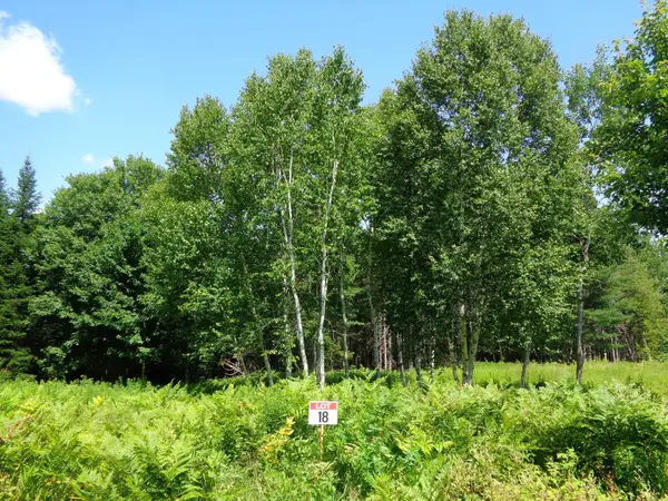 Lot 18 Bailey Mountain Road, Franklin, ME 04634