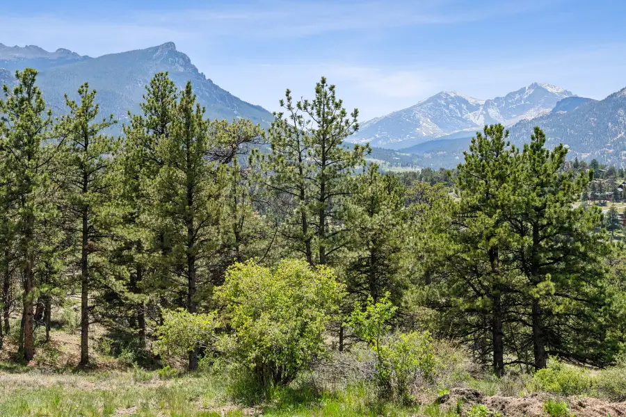 TBD Lot 42 Governors Lane, Estes Park, CO 80517 - #3