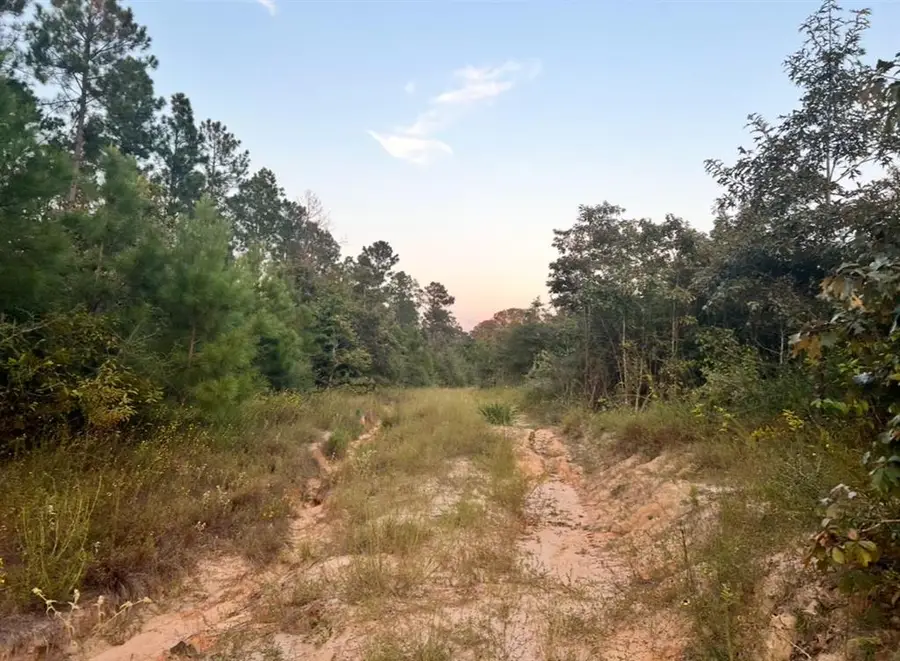 0 Paul Mcmillian, Deridder, LA 70634 - #3