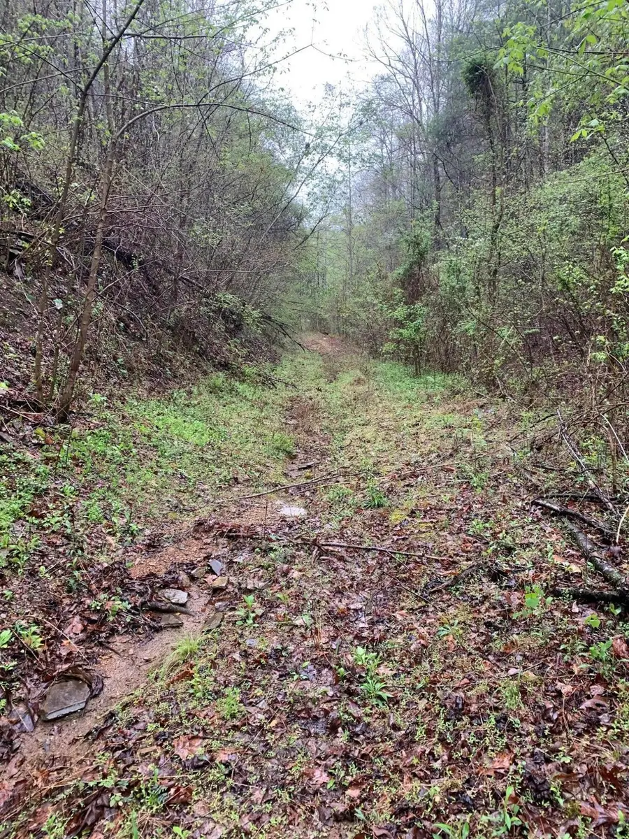 0 Cane Creek Mtn. Road, Tellico Plains, TN 37385 - Image #2