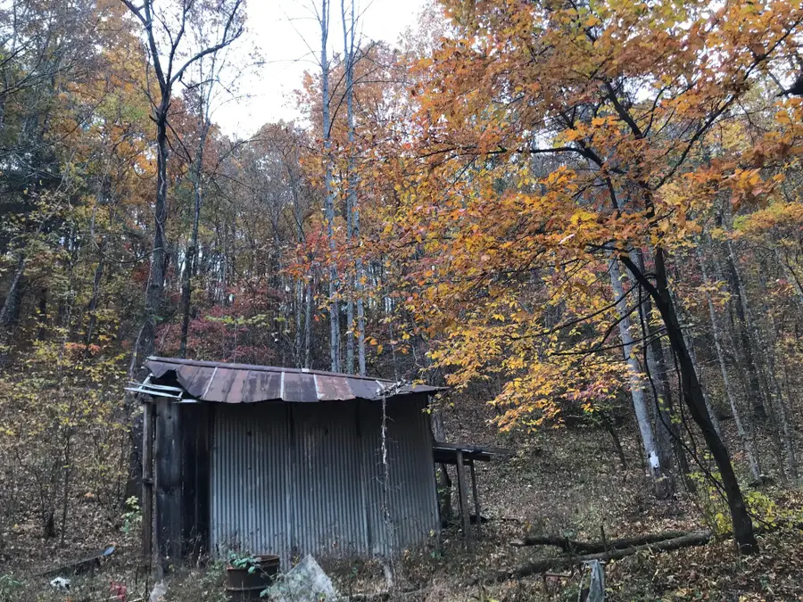 0 Cane Creek Mtn. Road, Tellico Plains, TN 37385 - Image #3