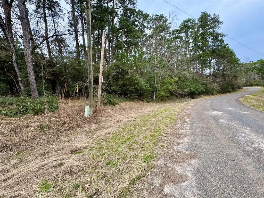 LOT 93 Whisperwood Drive, Onalaska, TX 77360 - Image #1