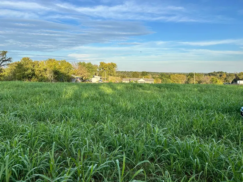 Tract #1 Mt Eden Road, Waddy, KY 40076 - #1