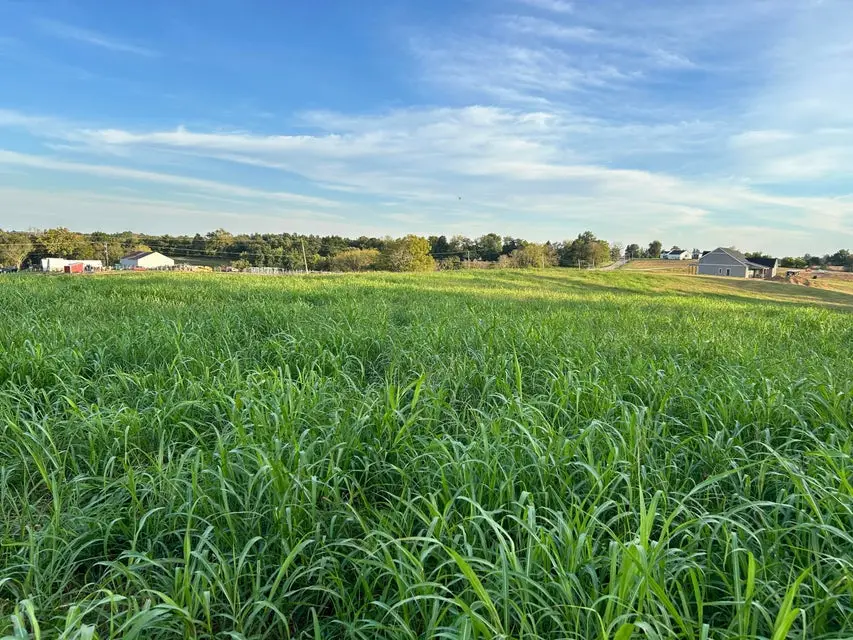 Tract #1 Mt Eden Road, Waddy, KY 40076 - #3