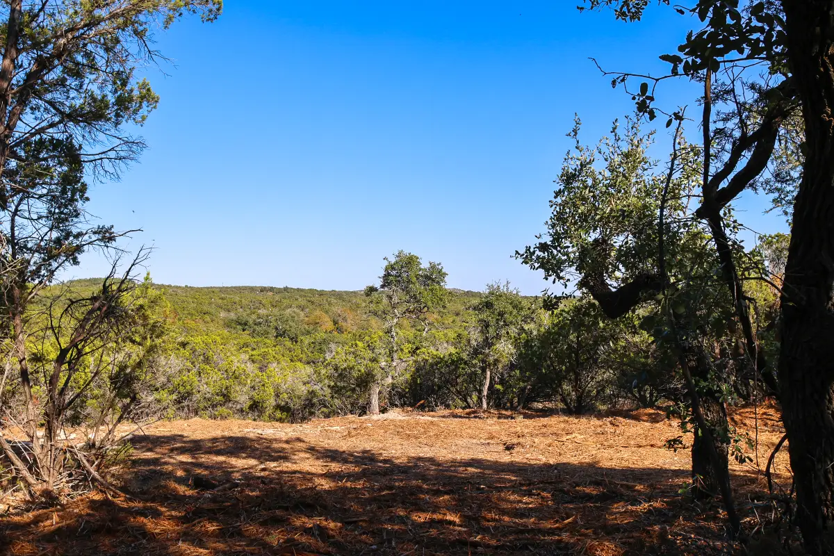 3101 - 1 Longhorn Trl, Wimberley, TX 78676 - #1