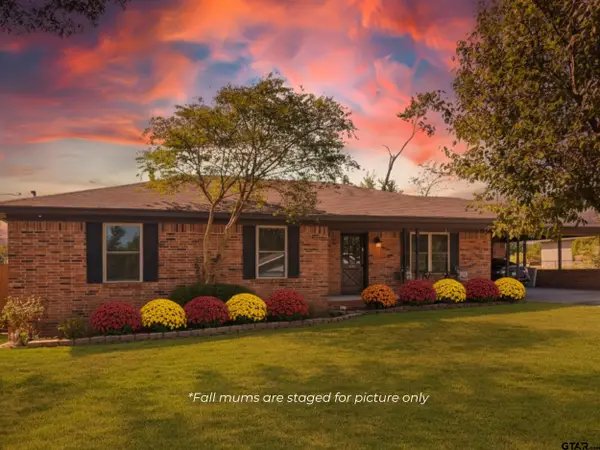 205 Martha Drive, Winnsboro, TX 75494