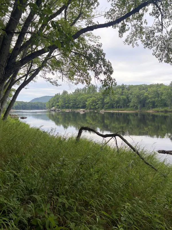 Lot 29 Auburn Road, Peru, ME 04290