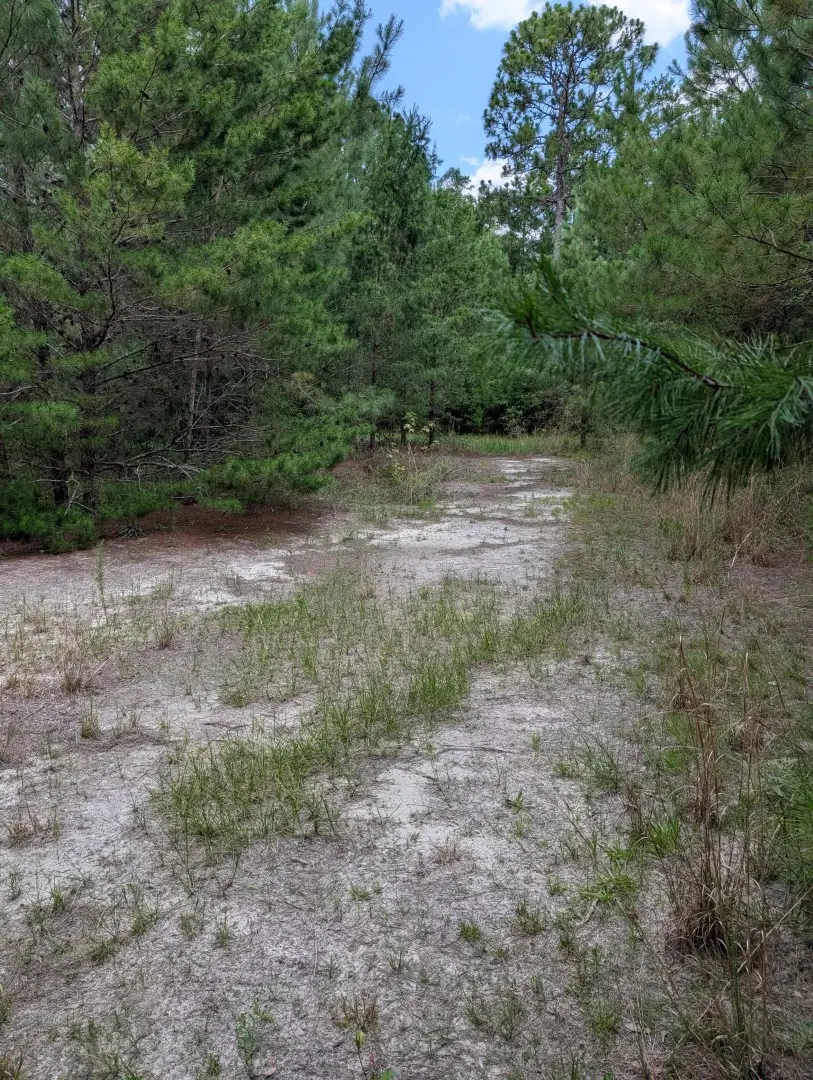 TBD Chief Bragg Drive, Freeport, FL 32439 - #1