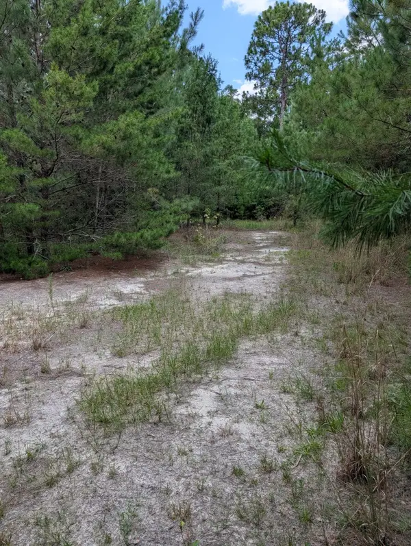 TBD Chief Bragg Drive, Freeport, FL 32439