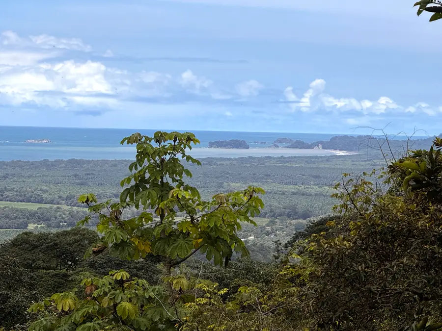 Address Withheld By Seller, Las Vegas, NV 89115 - #2