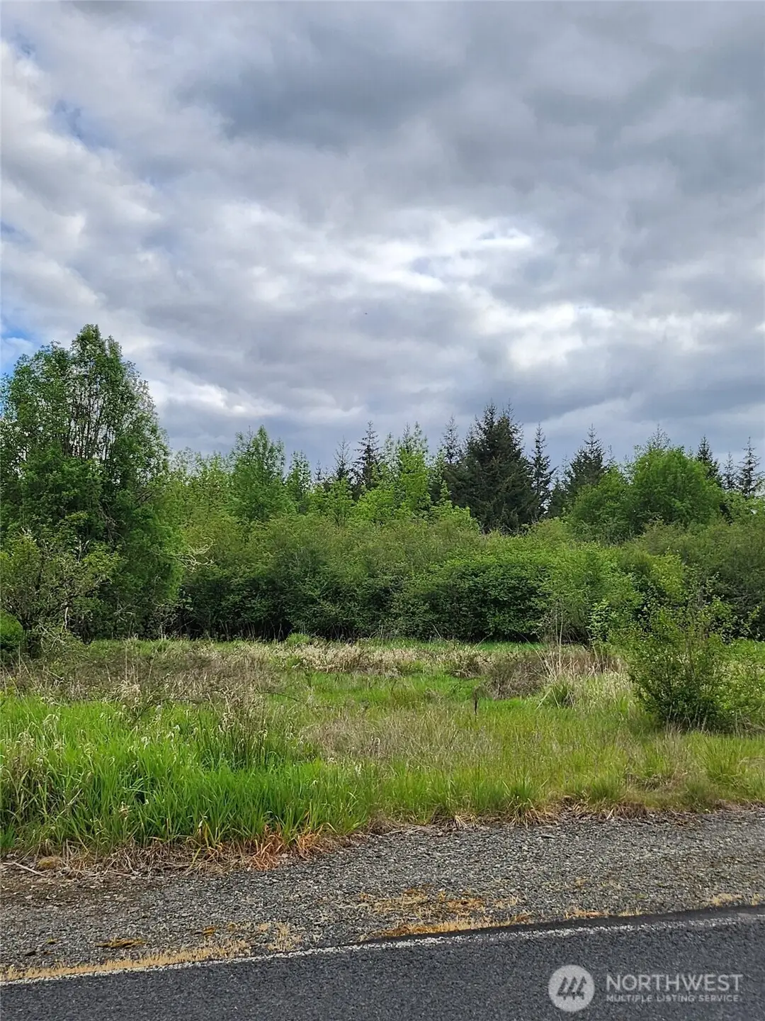 0 Henriot Road, Toledo, WA 98591 - #1