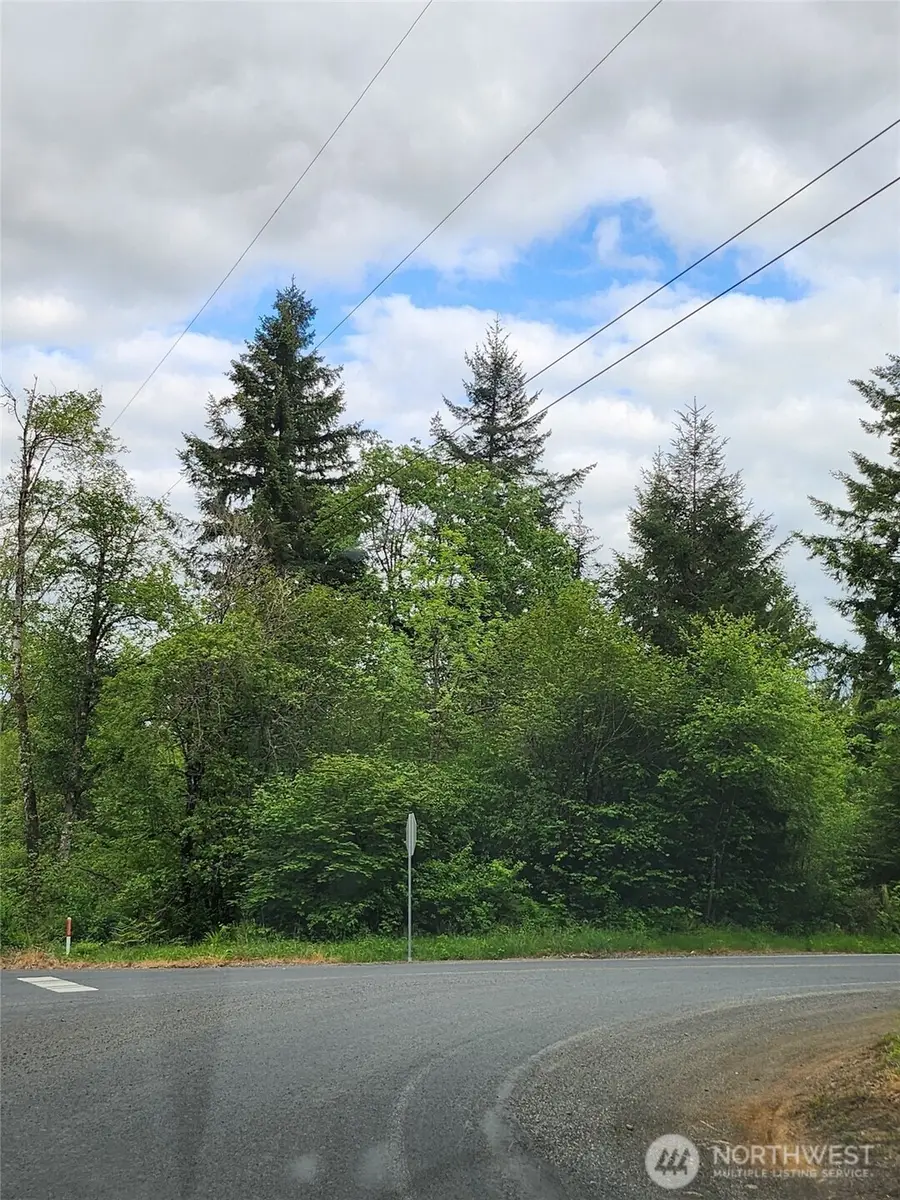 0 Henriot Road, Toledo, WA 98591 - #3