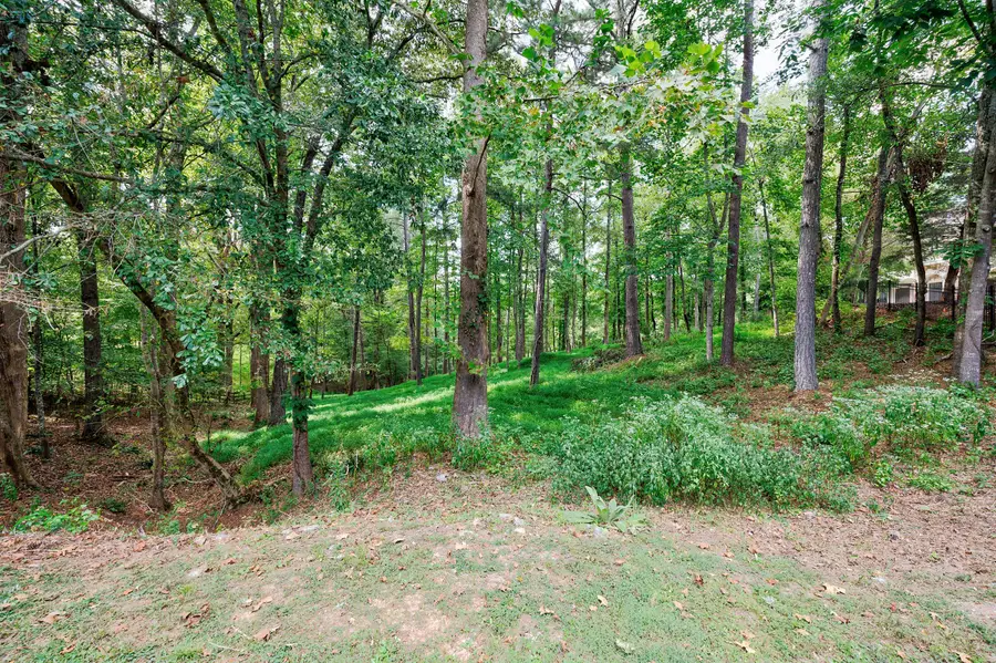 13550 Blakmaral Lane, Milton, GA 30004 - Image #3