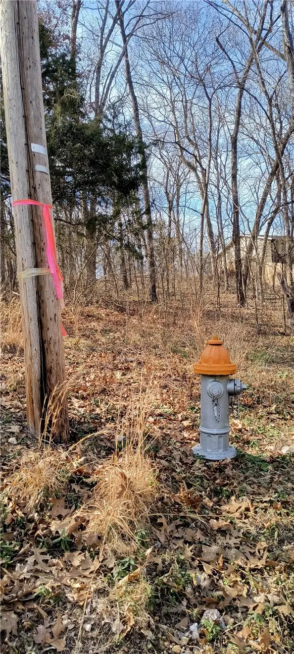 Lot 9, Block 9 Bosworth Circle, Bella Vista, AR 72714 - #3