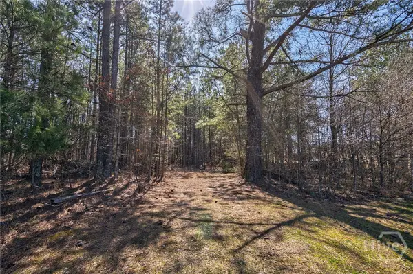 202 Kent Rock Road #Tract 4, Loganville, GA 30052