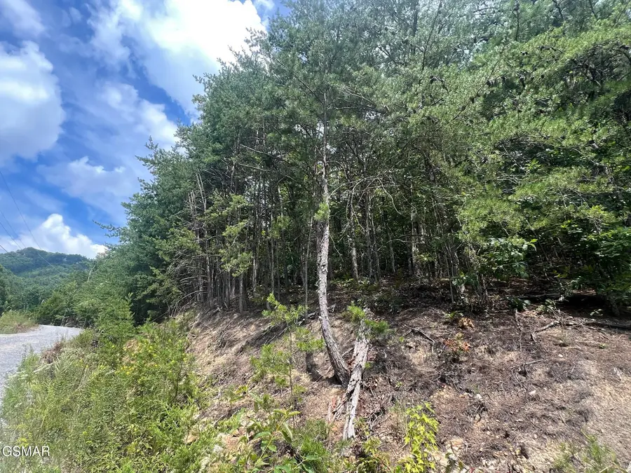 992 Bogard Creek Road, Cosby, TN 37722 - #2