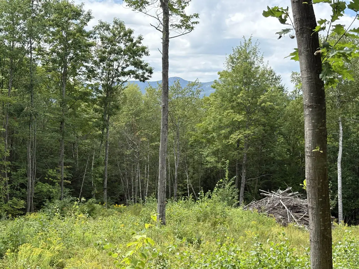 Perkins Hill Road #2, Alexandria, NH 03222 - #1