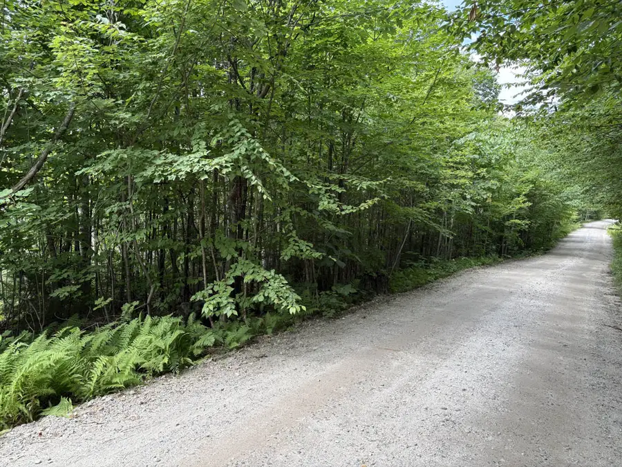 Perkins Hill Road #2, Alexandria, NH 03222 - #3