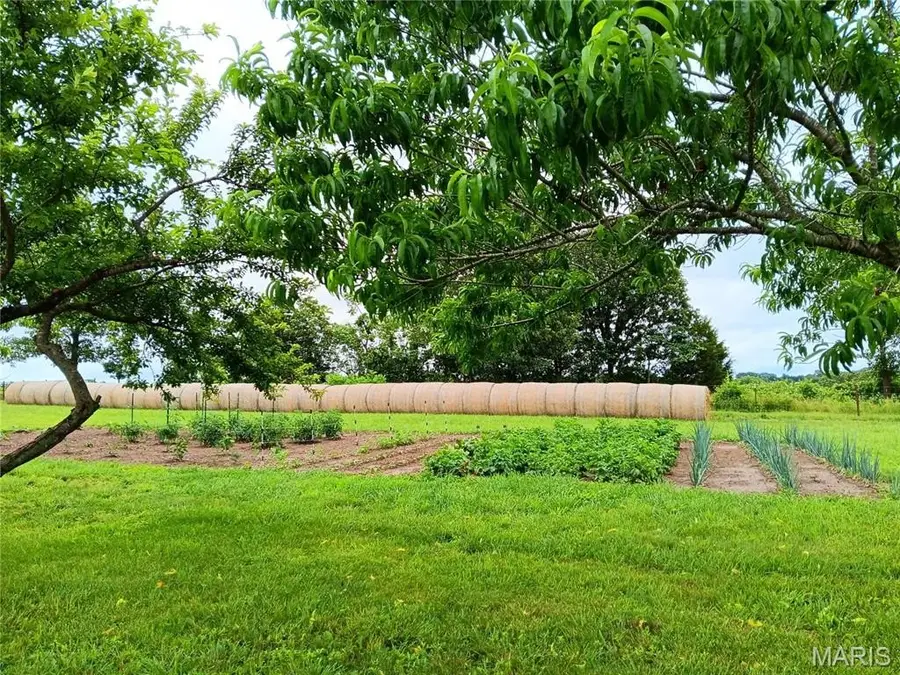 6991 Ely Road, Hartville, MO 65667 - #2