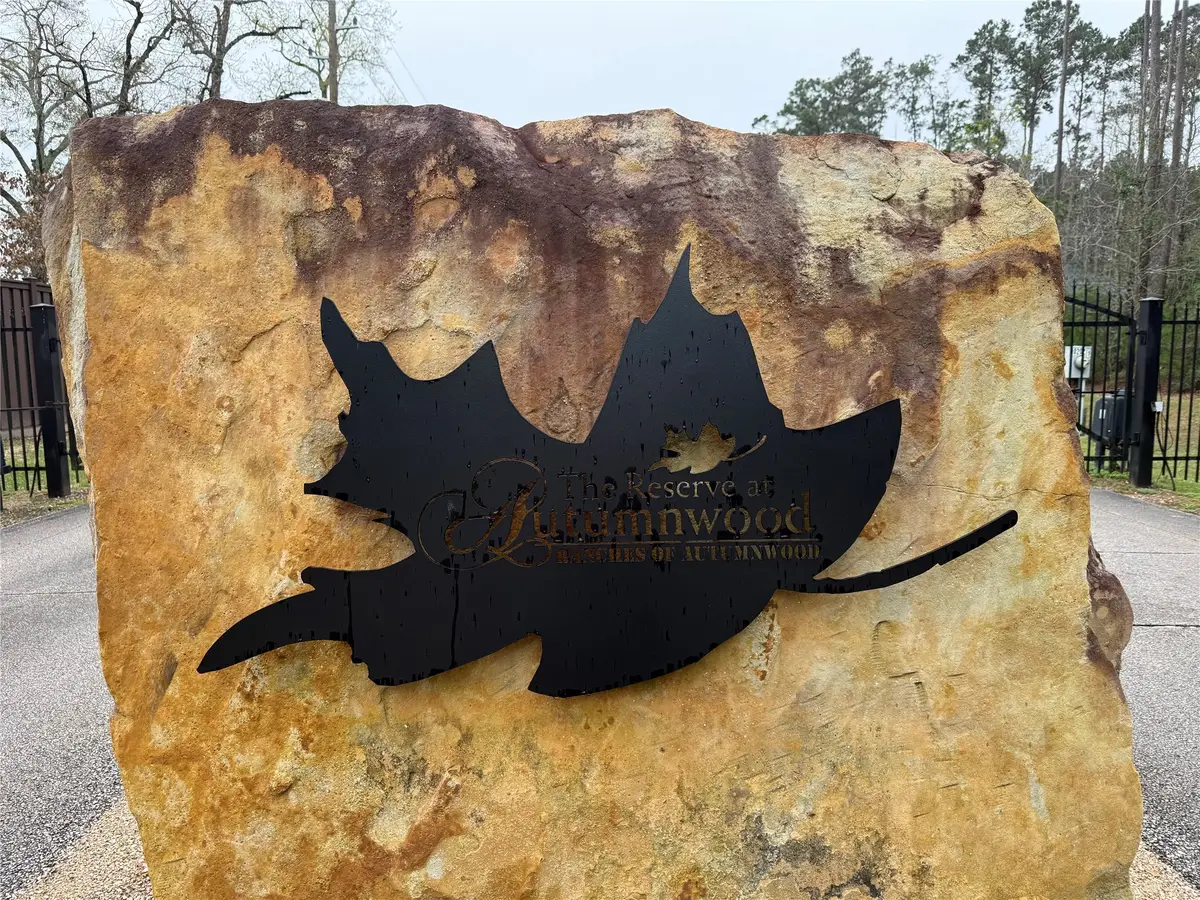 10213 S Autumn Leaf Circle, Magnolia, TX 77354 - #1