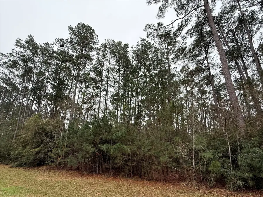 10213 S Autumn Leaf Circle, Magnolia, TX 77354 - #3