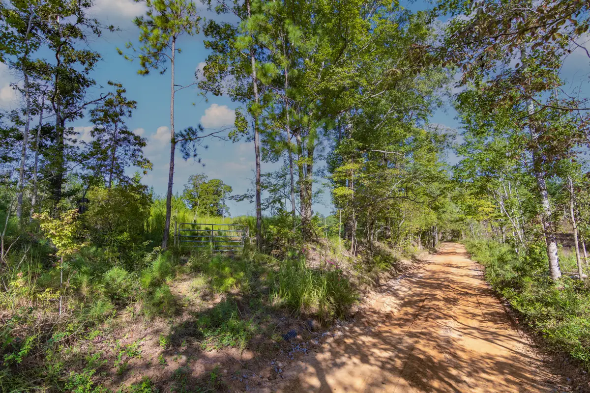 Tract 8 Carlisle Gap Road, Woodland, GA 31836 - #1