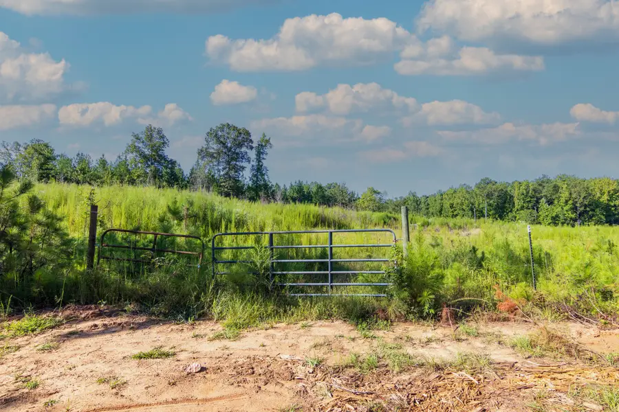 Tract 8 Carlisle Gap Road, Woodland, GA 31836 - #2