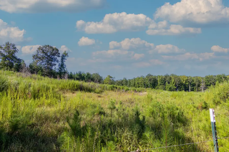 Tract 8 Carlisle Gap Road, Woodland, GA 31836 - #3