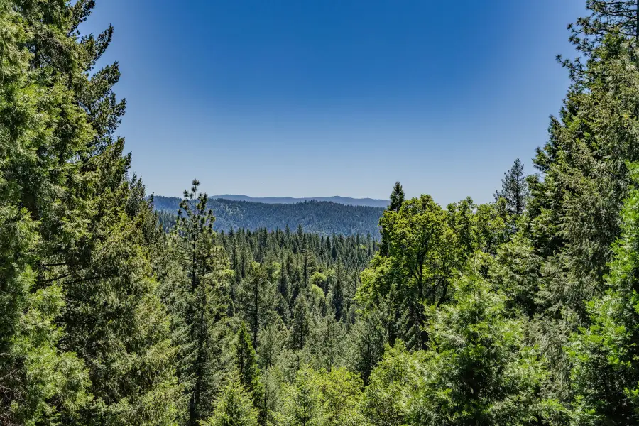 18720 Circle View Drive, Pioneer, CA 95666 - Image #2