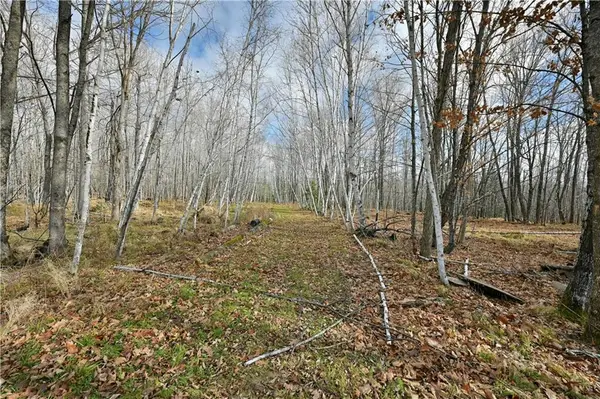 0 0450-024-11-0000, Lucerne Valley, CA 92356