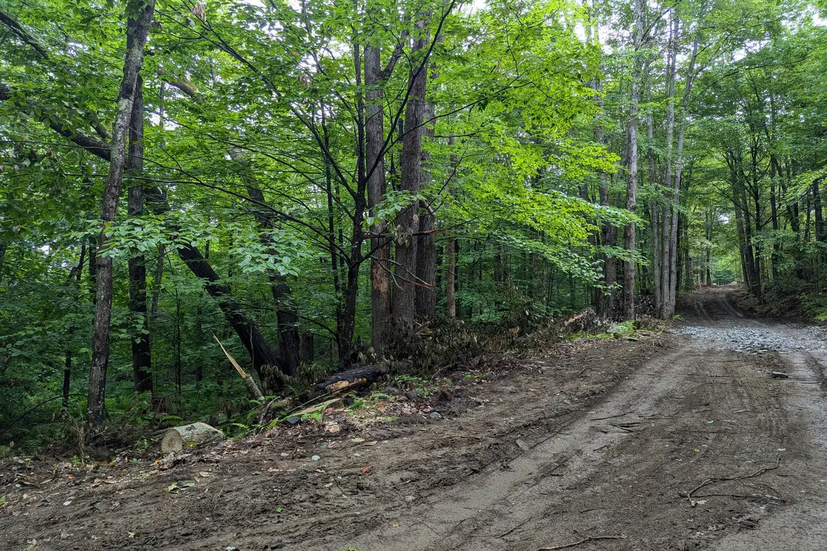 0 Dover Road, Williamsville, VT 05351 - #1