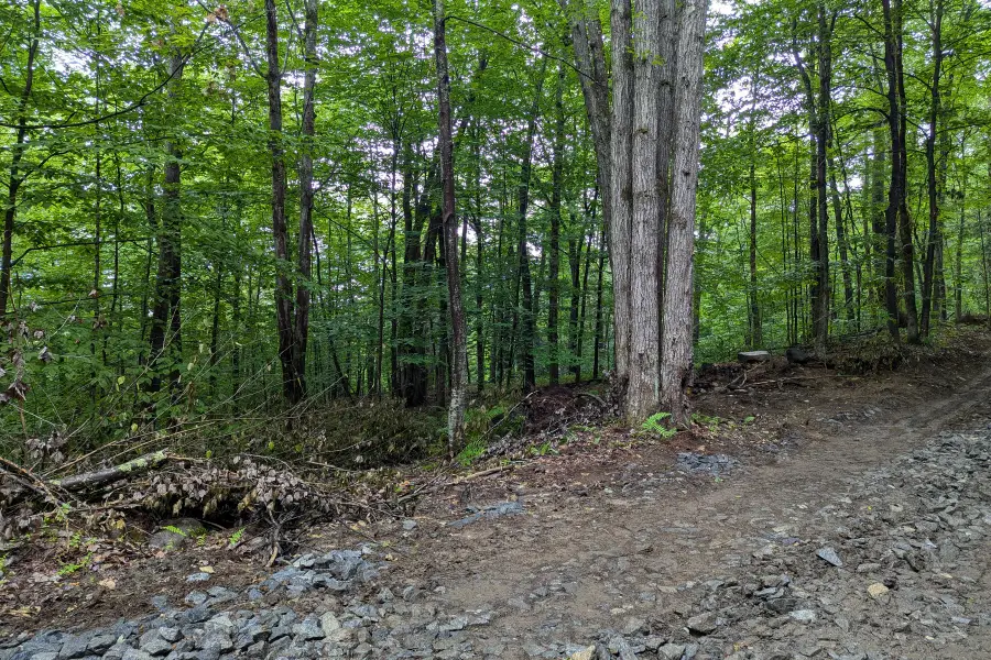 0 Dover Road, Williamsville, VT 05351 - #2