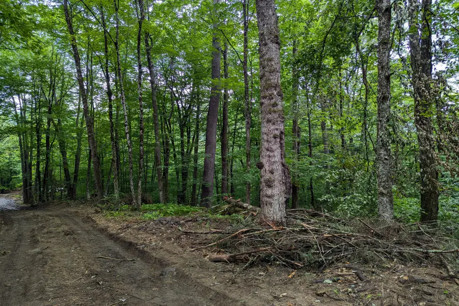 0 Dover Road, Williamsville, VT 05351 - #3