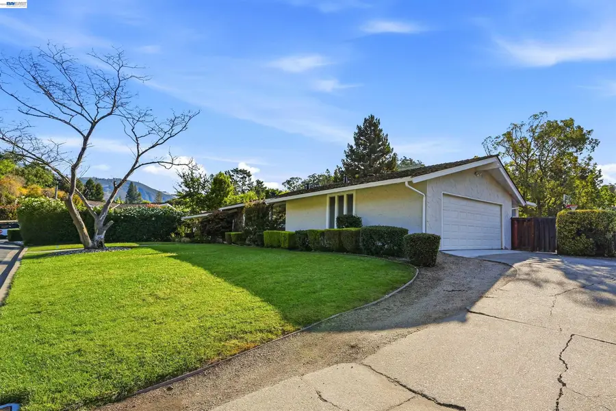 11 Ray Court, Alamo, CA 94507 - #3