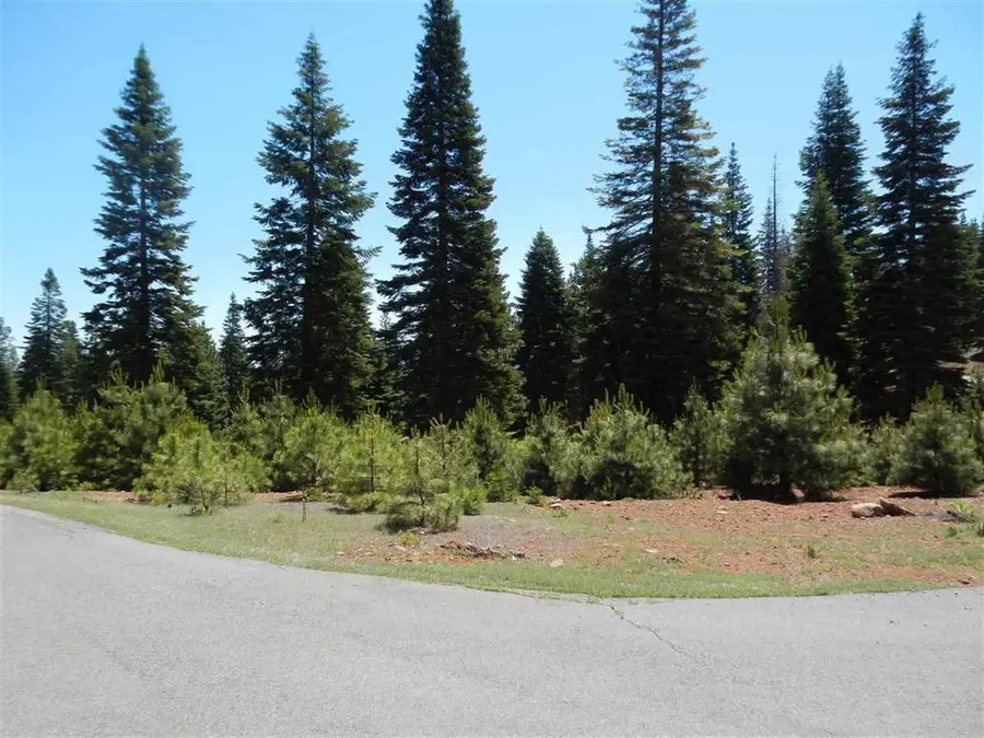 274 Snowy Peak Way, Lake Almanor Peninsula, CA 96137 - Image #2