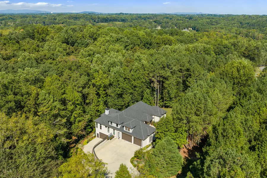 131 Soapstone Way, Canton, GA 30115 - #2