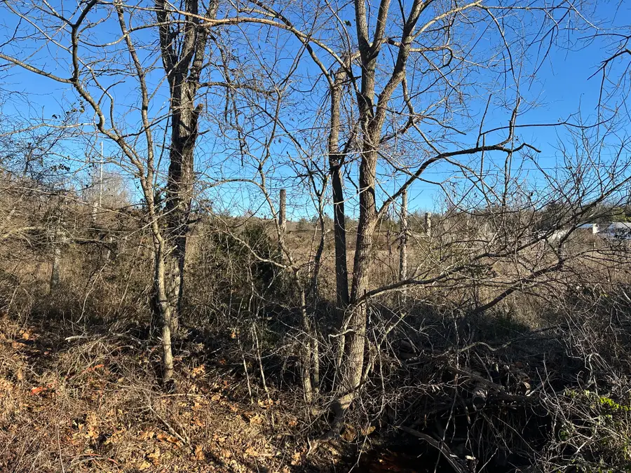 1739 Cr 54, Mountain Home, AR 72653 - Image #3