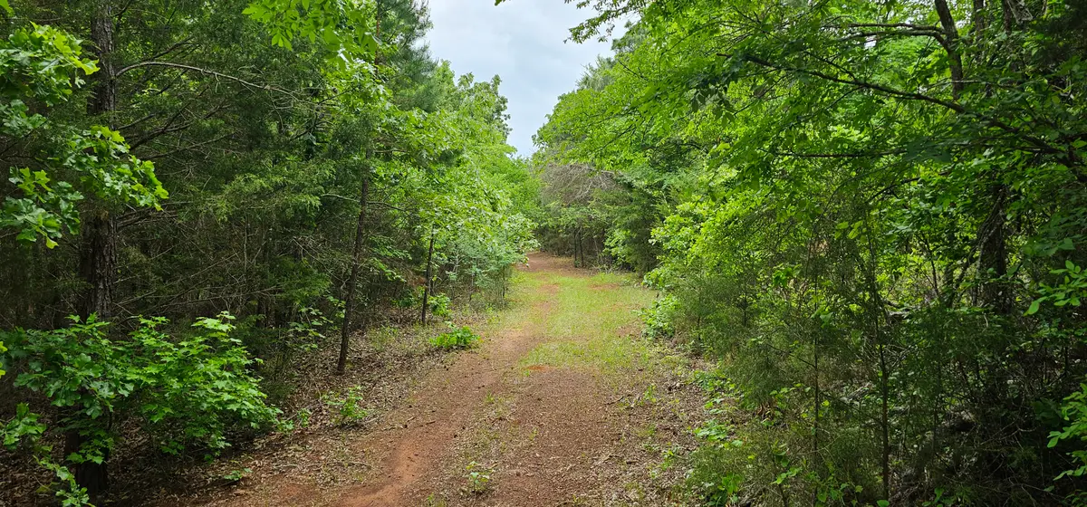 TBD Vz County Road 4814, Ben Wheeler, TX 75754 - #1