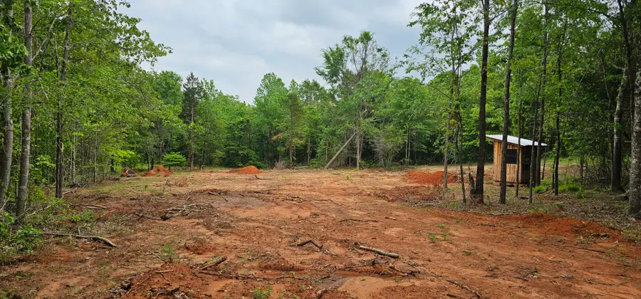 TBD Vz County Road 4814, Ben Wheeler, TX 75754 - #2