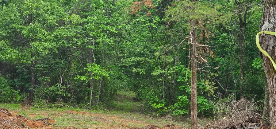TBD Vz County Road 4814, Ben Wheeler, TX 75754 - #3