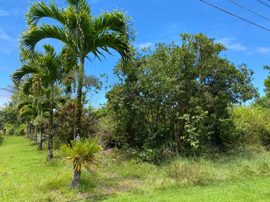 Lalakea St, Pahoa, HI 96778 - #2