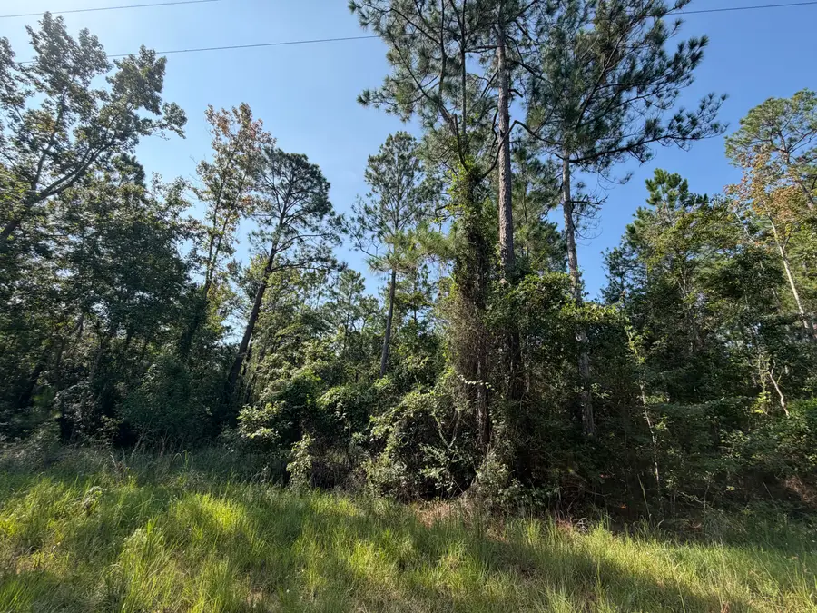 000 N 8th Ave, Milton, FL 32583 - #3