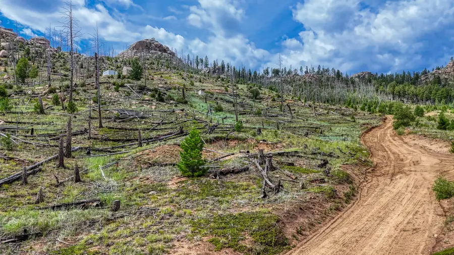 State Hwy 67, Cripple Creek, CO 80813 - #3