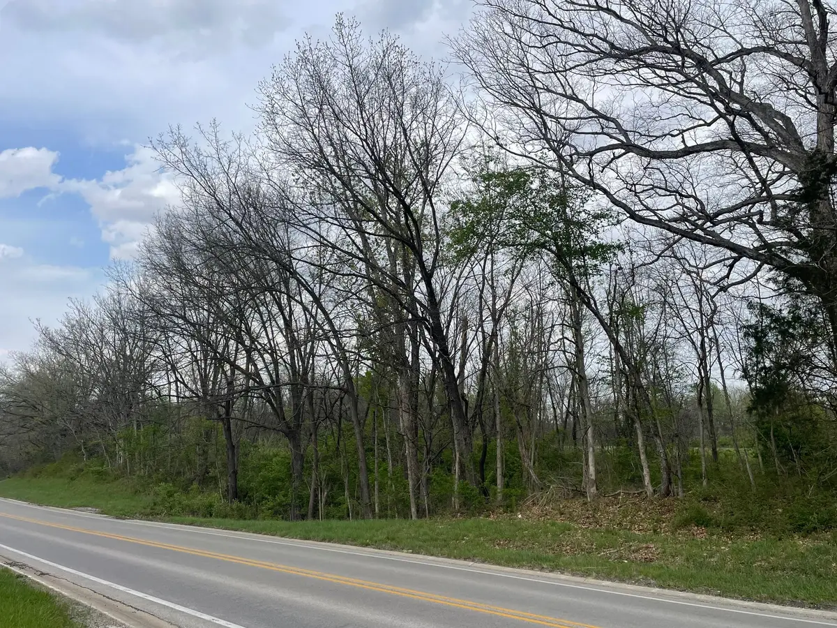 075 Street, Greenup, IL 62428 - #1