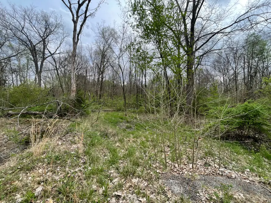 075 Street, Greenup, IL 62428 - #3