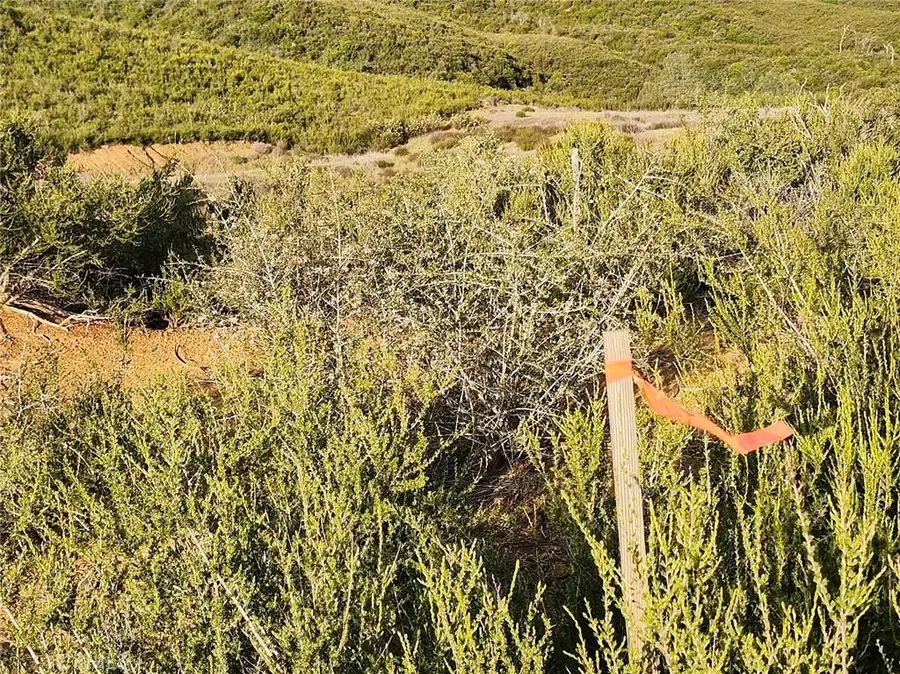 10480 Sky High Ridge Road, Lower Lake, CA 95457 - #3