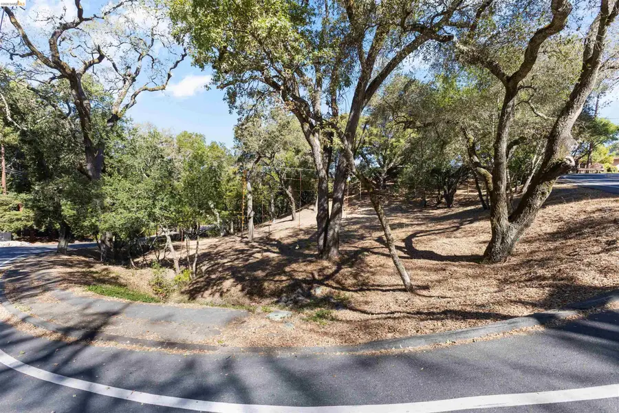 822 Acalanes Rd, Lafayette, CA 94549 - #2